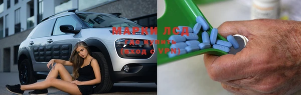 прущие крисы Горняк