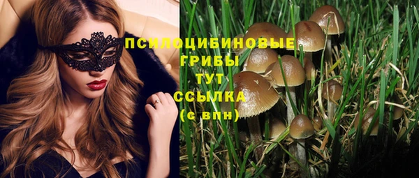 кристаллы Горнозаводск
