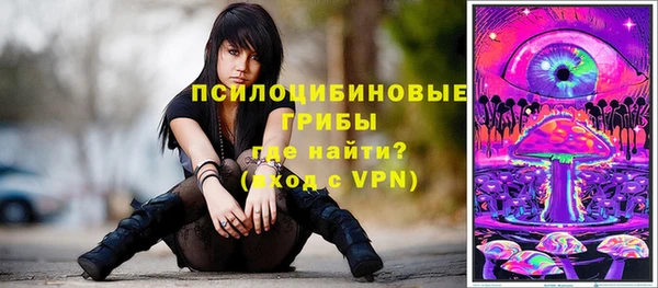 соль курить ск Гусь-Хрустальный
