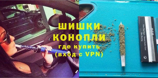 тгк Горно-Алтайск