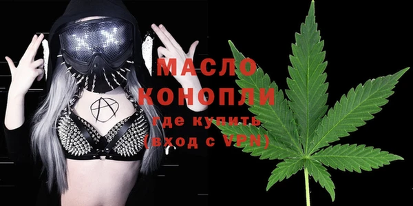 прущие крисы Горняк