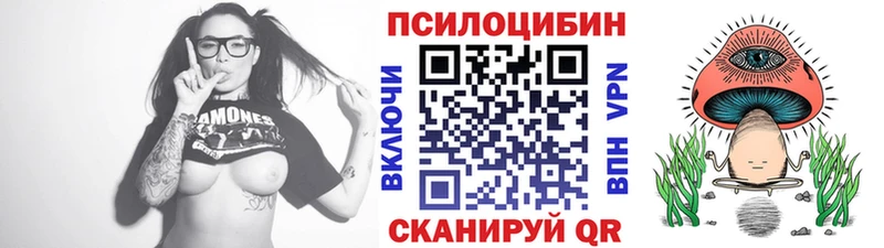 Купить где  Карачаевск  Галлюциногенные грибы Cubensis 